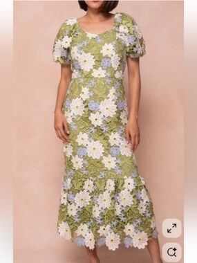 Ivy City Co Meadow Floral Appliqué Dress